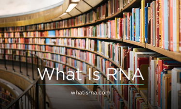 WhatIsRNA.com - Creative brandable domain for sale